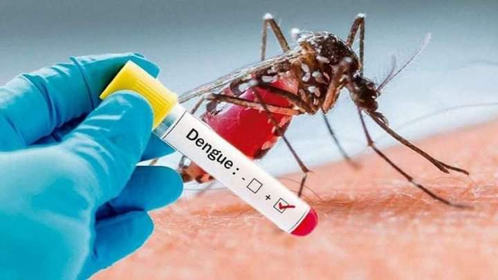 Detectan un caso de dengue en el departamento Valle Viejo